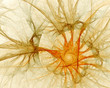fractal abstract