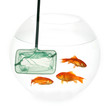 net and fish