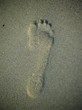 footprints in sand