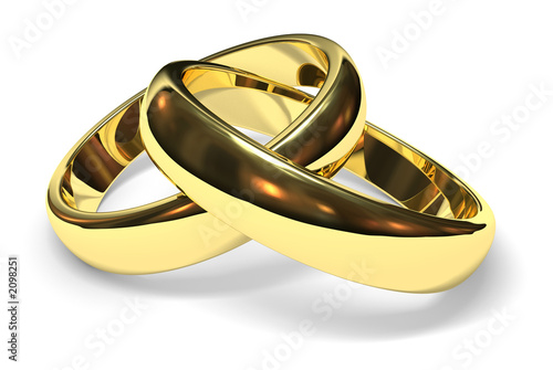 Wedding Rings Pictures  Prices on Wedding Rings    James Steidl  2098251   See Portfolio