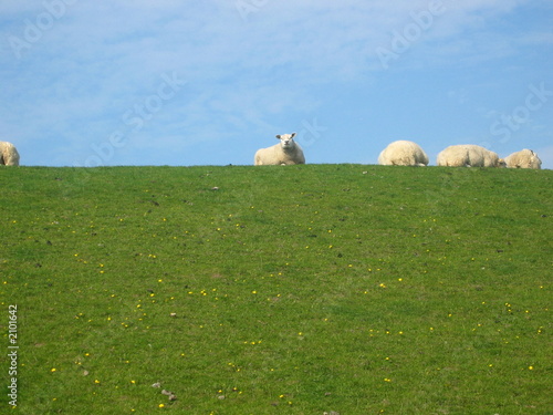 Photo: glorious day glorious day