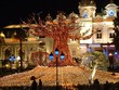 new year baobab in monaco