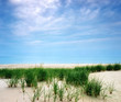 Leinwandbild Motiv beach and blue sky
