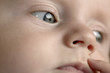 baby face crop