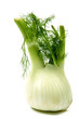 fenouil