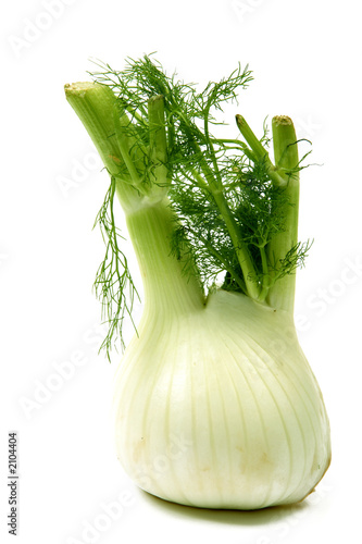 fenouil