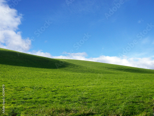 Photo: grüne wiese vor blauem himmel grüne wiese vor blauem himmel