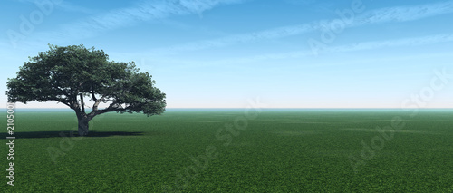 Leinwandbild Motiv tree_panorama