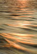sun capped waves
