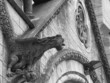 gargoil