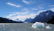 lago grey