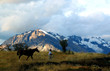 el chalten