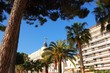 cannes festival du film