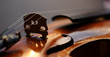 violin