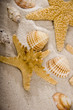 shell
