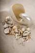 shell