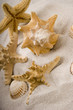 shell