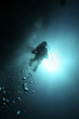 the skin-diver