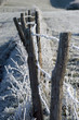 givre10