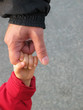 trust