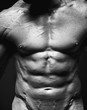 Foto: body body