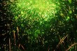 nuée verte