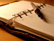 diary diary
