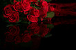 red rose
