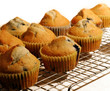 Photo en ligne au meilleur prix blueberry muffins