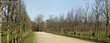 allee royale