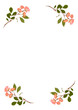 pressed pink roses pressed pink roses