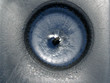 oeil de lynx