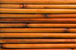 bamboo background