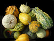pumpkins, zucca, zucche, zucchette