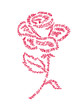 rose fête des mères