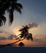 Leinwandbild Motiv maldivian sunset