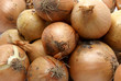 onion