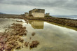 ruins on salt plant