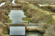canal on salt plant
