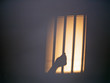 prison de l'ame