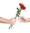 hand holding flowers hand holding flowers