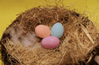 easter eggs