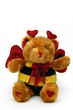 love teddy