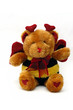 love teddy