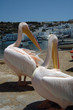 mykonos