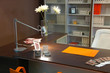 modern brown office