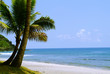 plage de petite anse plage de petite anse