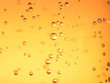 beer bubble