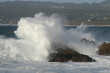 Splash