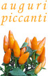 cartolina auguri piccanti vert